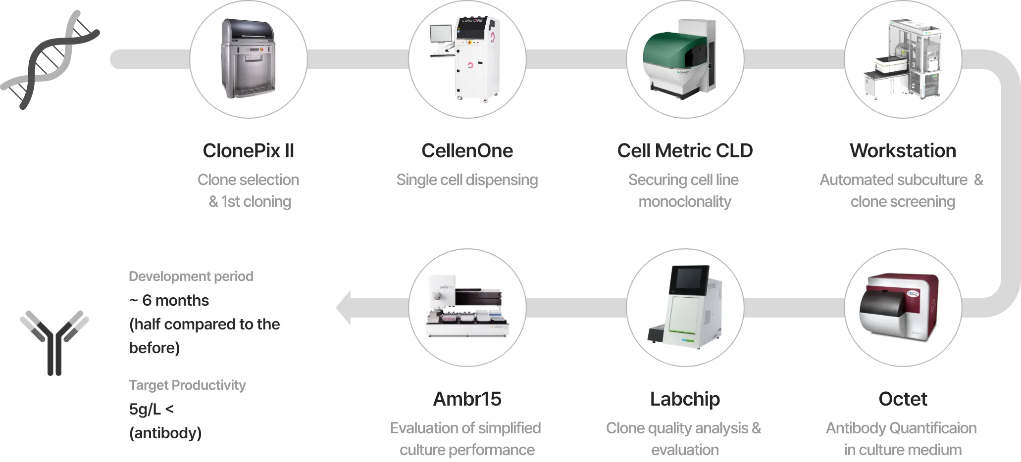 [ClonePix II] Clone selection & 1st cloning > [CellenOne] Single cell dispensing > [Cell Metrix CLD] Securing cell line monoclonality > [Workstation] Automated subculture & clone screening > [Octet] Antibody Quantificaion in culture medium  & clone screening > [Labchip] Clone quality analysis & evaluation > [Ambr15] Evaluation of simplified culture performance > -Development period: 6 months
                        (half compared to the before) -Target Productivity: 5g/L < (antibody)