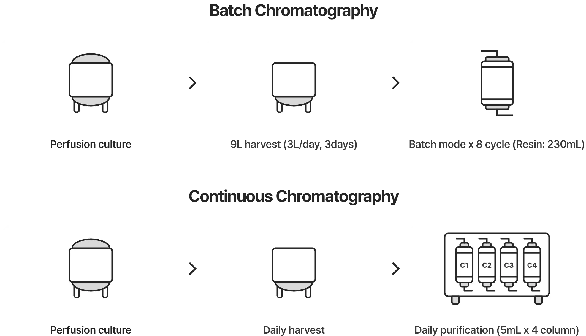 [Batch Chromatography] Perfusion culture > 9L harvest (3L/day, 3days) > Batch mode x 8 cycle (Resin: 230mL) [Continuous Chromatography] Perfusion culture > Daily harvest > Daily purification (5mL x 4 column)